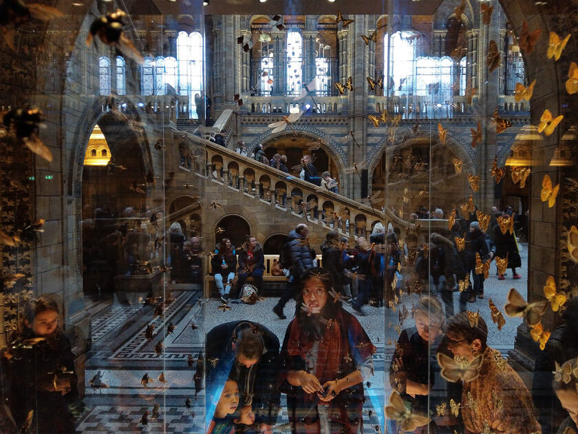 Visitors at the Natural History Museum in London examine a display of insects in Hintze Hall.