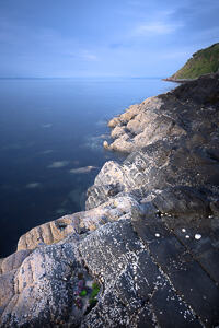 Barnacles create a streak of white on black schist on the North coast of Arran.